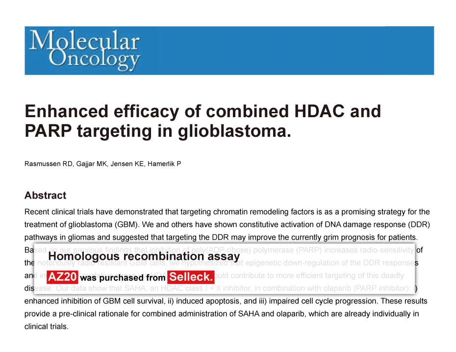 Trametinib was purchased from Selleck Chemicals
