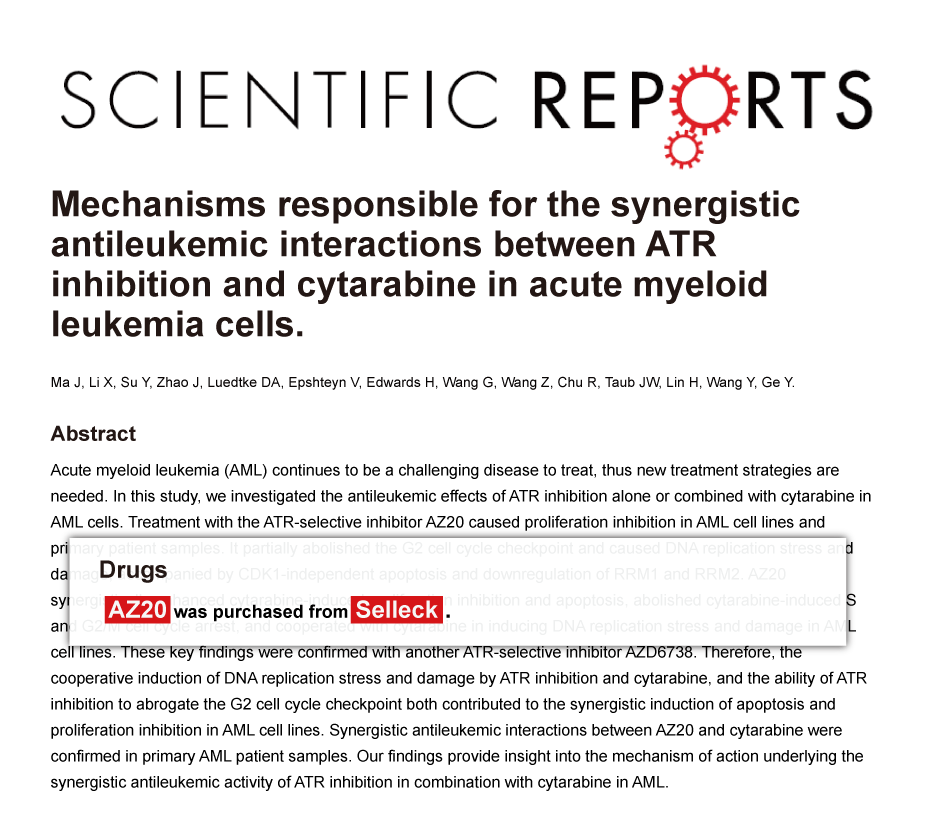 Trametinib was purchased from Selleck Chemicals