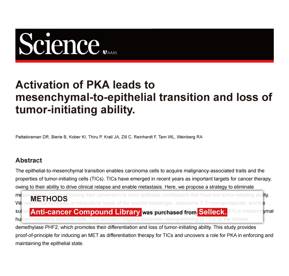 Trametinib was purchased from Selleck Chemicals