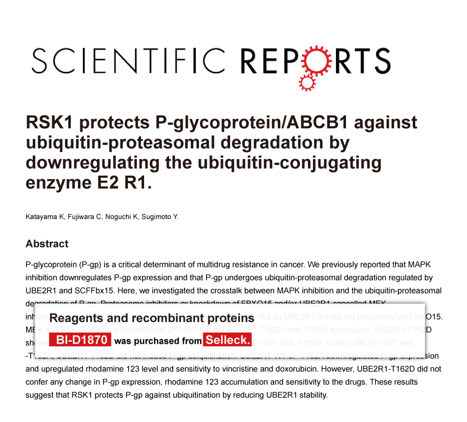 Trametinib was purchased from Selleck Chemicals