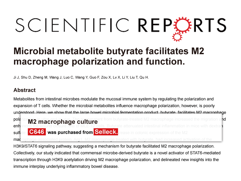 Trametinib was purchased from Selleck Chemicals