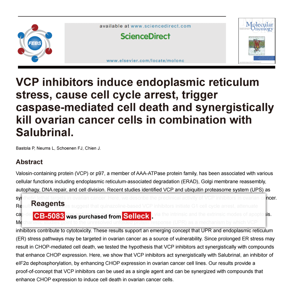 Trametinib was purchased from Selleck Chemicals