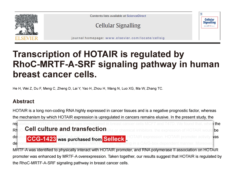 Trametinib was purchased from Selleck Chemicals