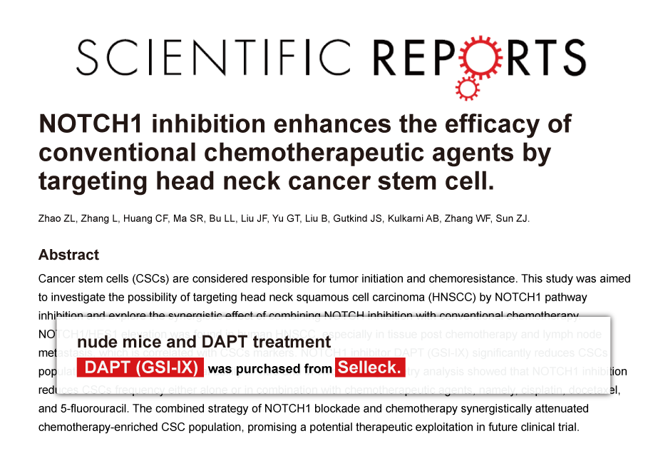 Trametinib was purchased from Selleck Chemicals