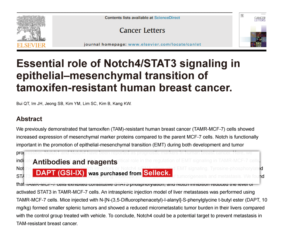 Trametinib was purchased from Selleck Chemicals