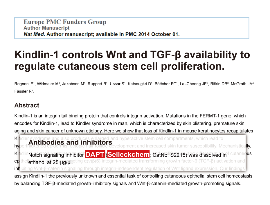 Nat Cell Biol 2014 | XAV939 was purchased from Selleck Chemicals