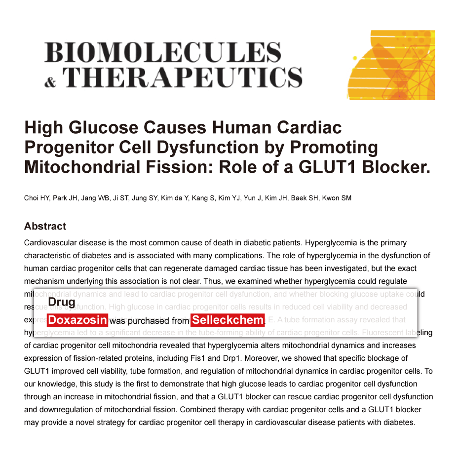 Trametinib was purchased from Selleck Chemicals