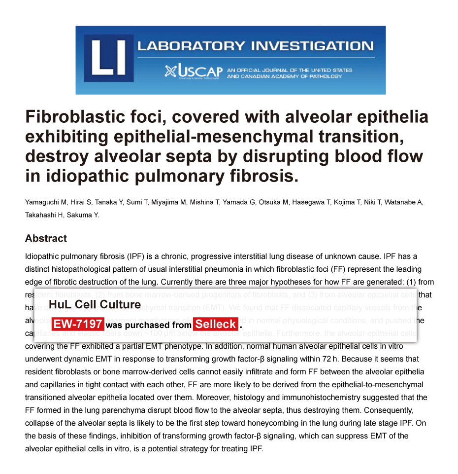 Trametinib was purchased from Selleck Chemicals