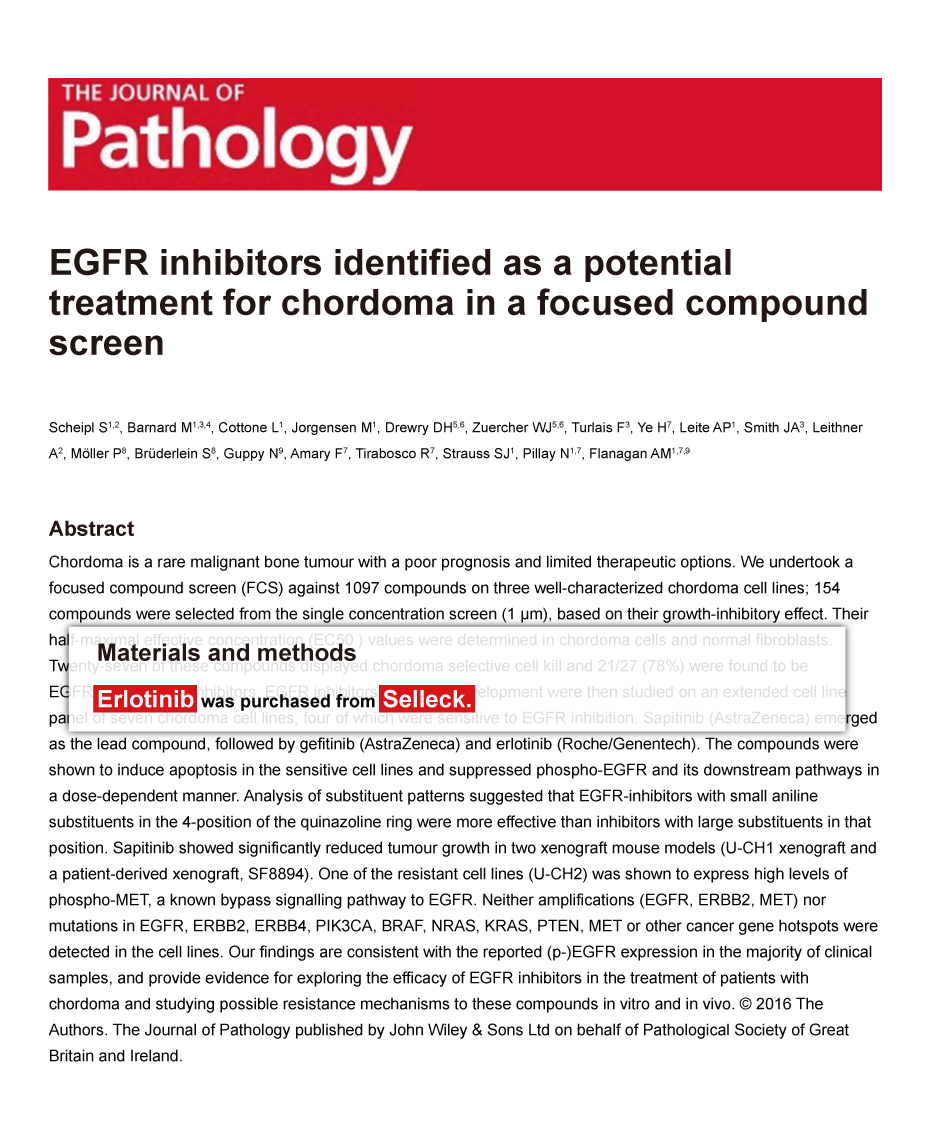 Trametinib was purchased from Selleck Chemicals