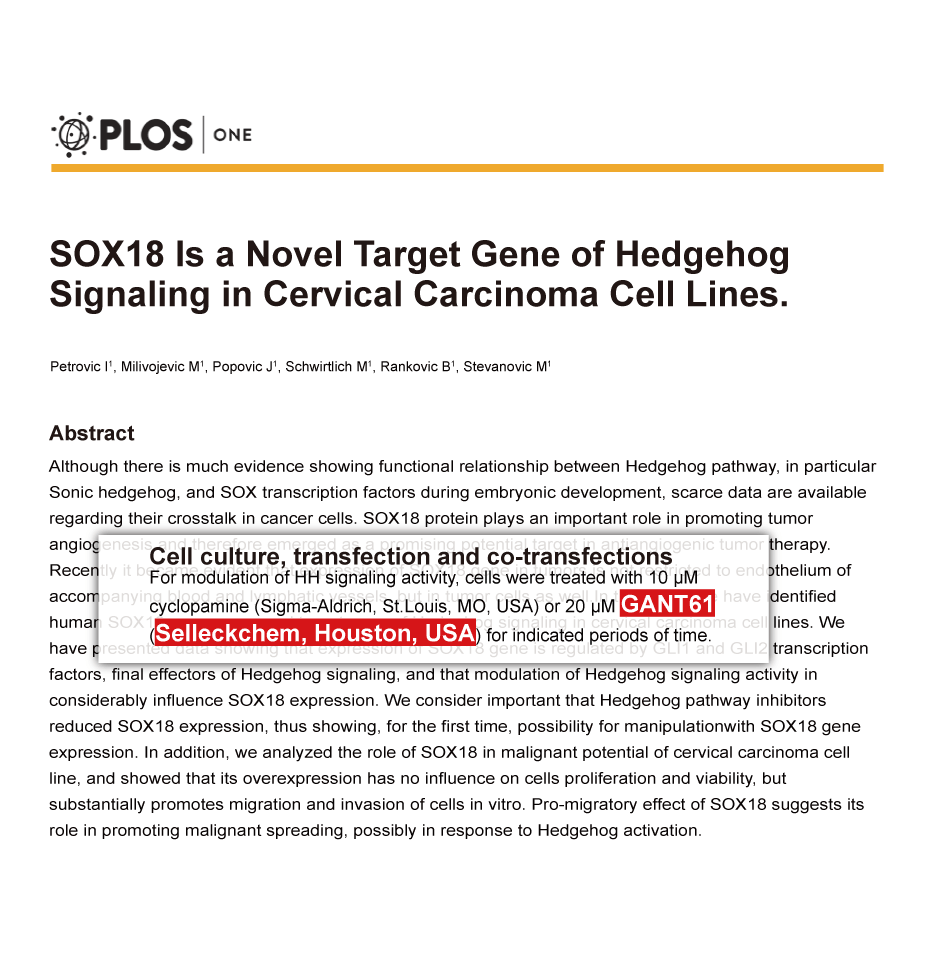 Trametinib was purchased from Selleck Chemicals