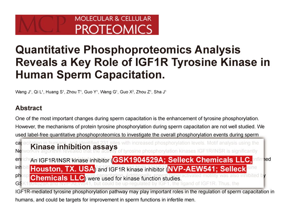 Trametinib was purchased from Selleck Chemicals
