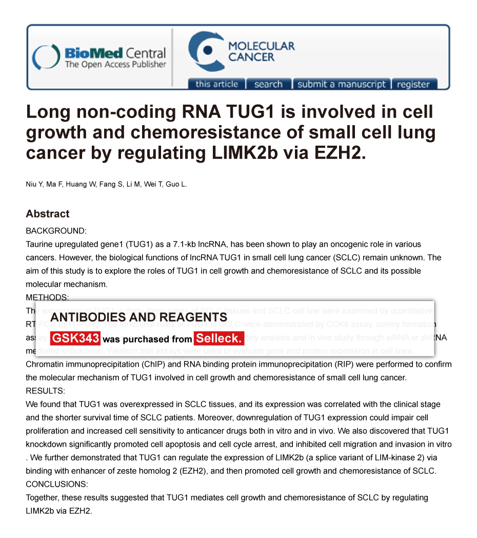 Trametinib was purchased from Selleck Chemicals