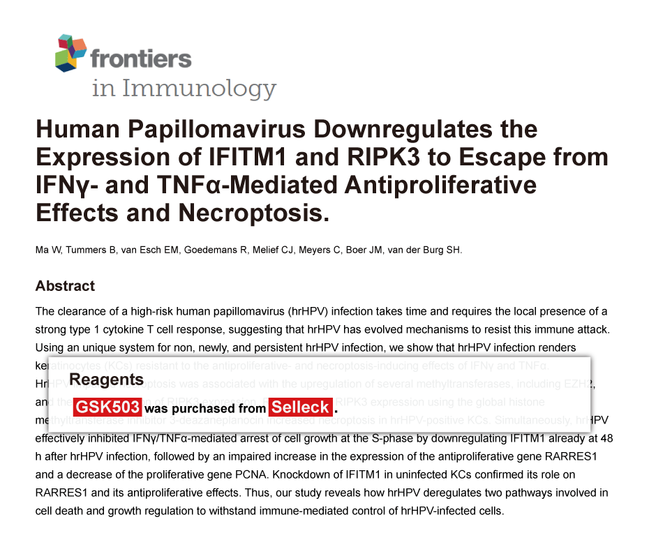 Trametinib was purchased from Selleck Chemicals