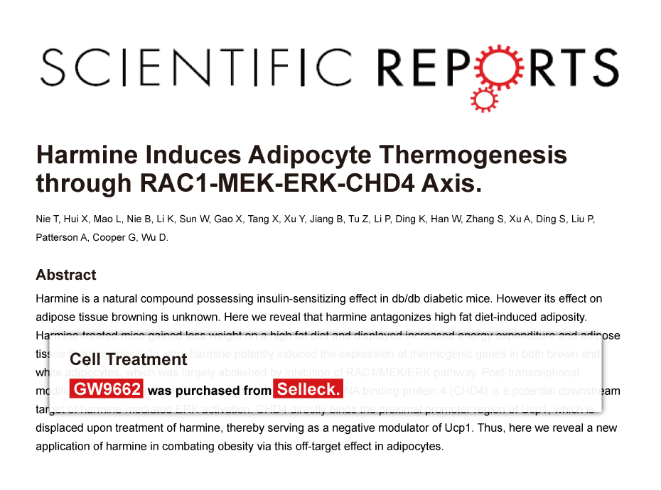 Trametinib was purchased from Selleck Chemicals