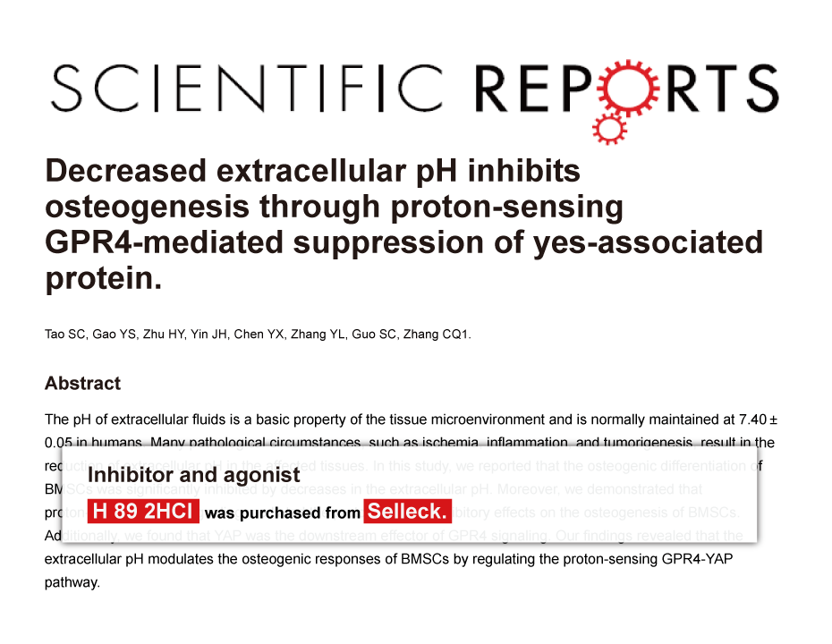 Trametinib was purchased from Selleck Chemicals
