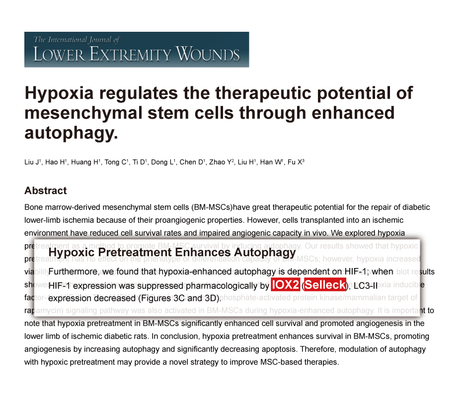 Trametinib was purchased from Selleck Chemicals