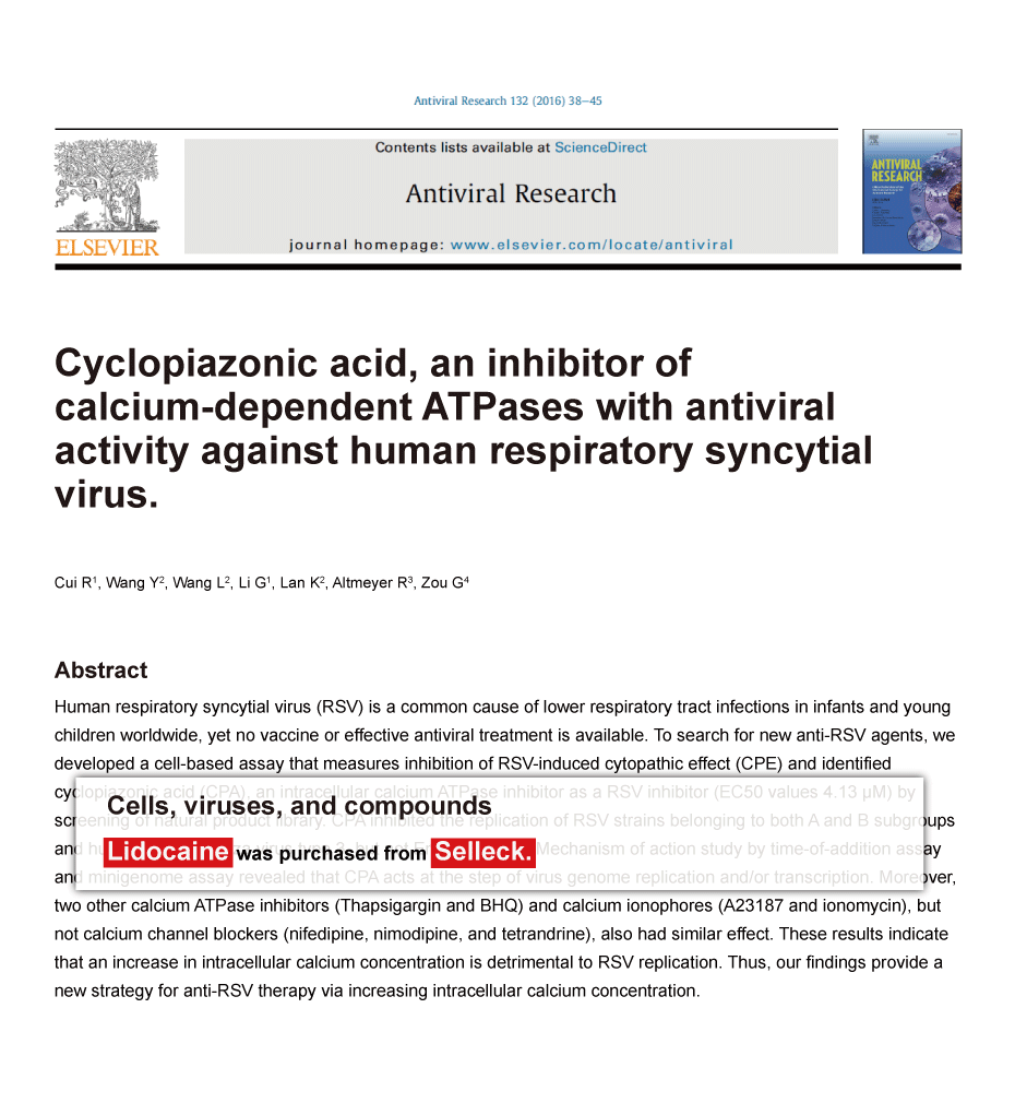 Trametinib was purchased from Selleck Chemicals