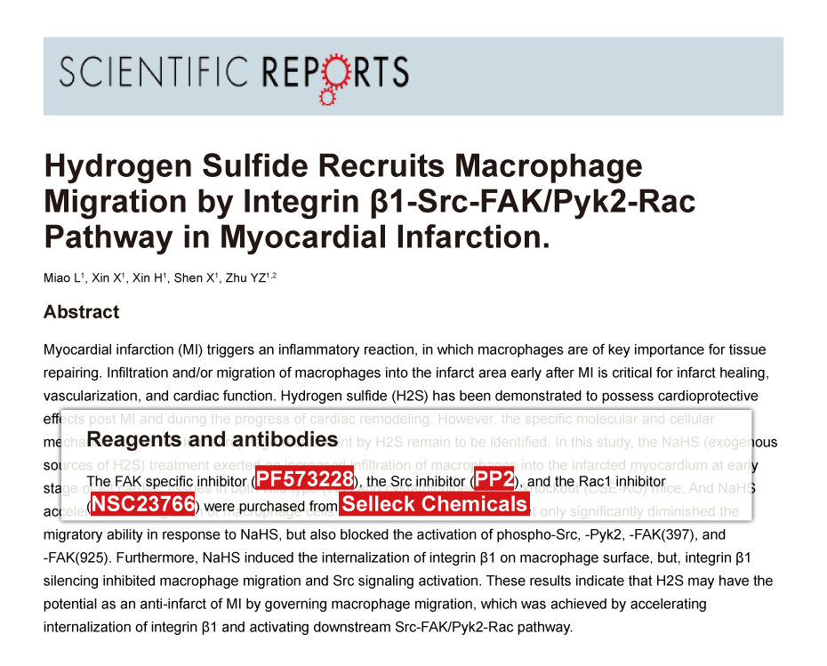 Trametinib was purchased from Selleck Chemicals