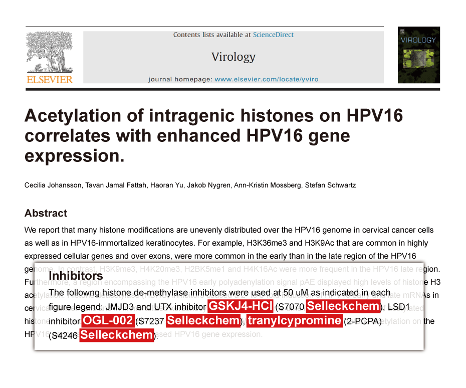 Trametinib was purchased from Selleck Chemicals