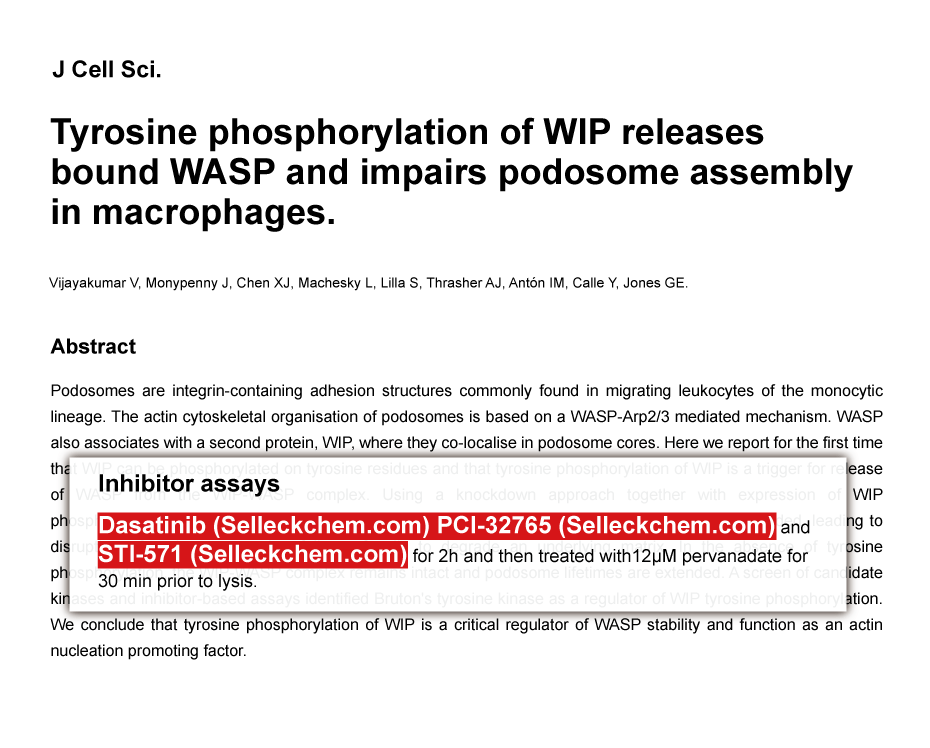 Trametinib was purchased from Selleck Chemicals