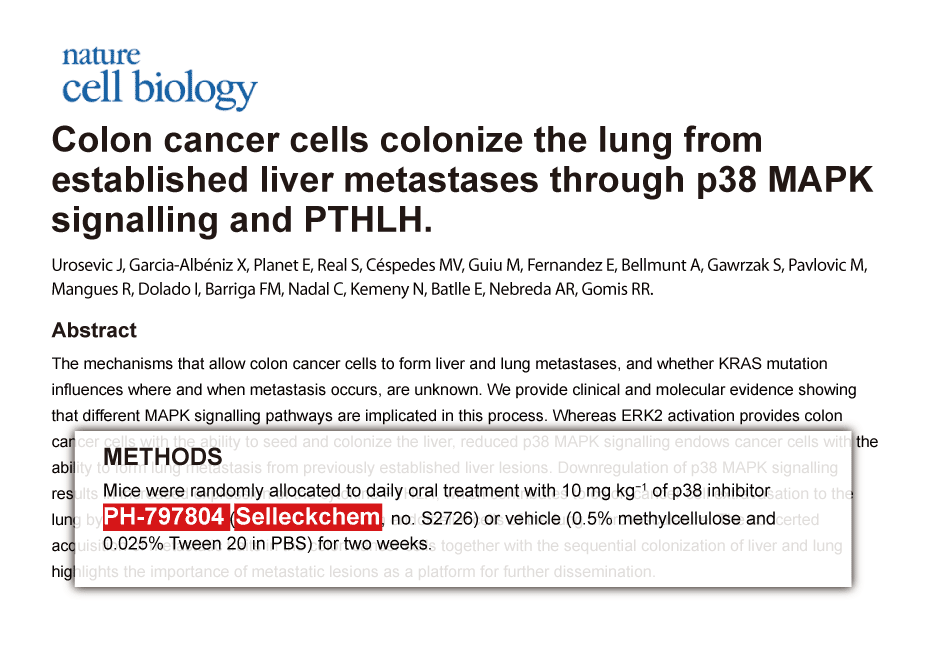 Nat Med 2014 | DAPT was purchased from Selleck Chemicals