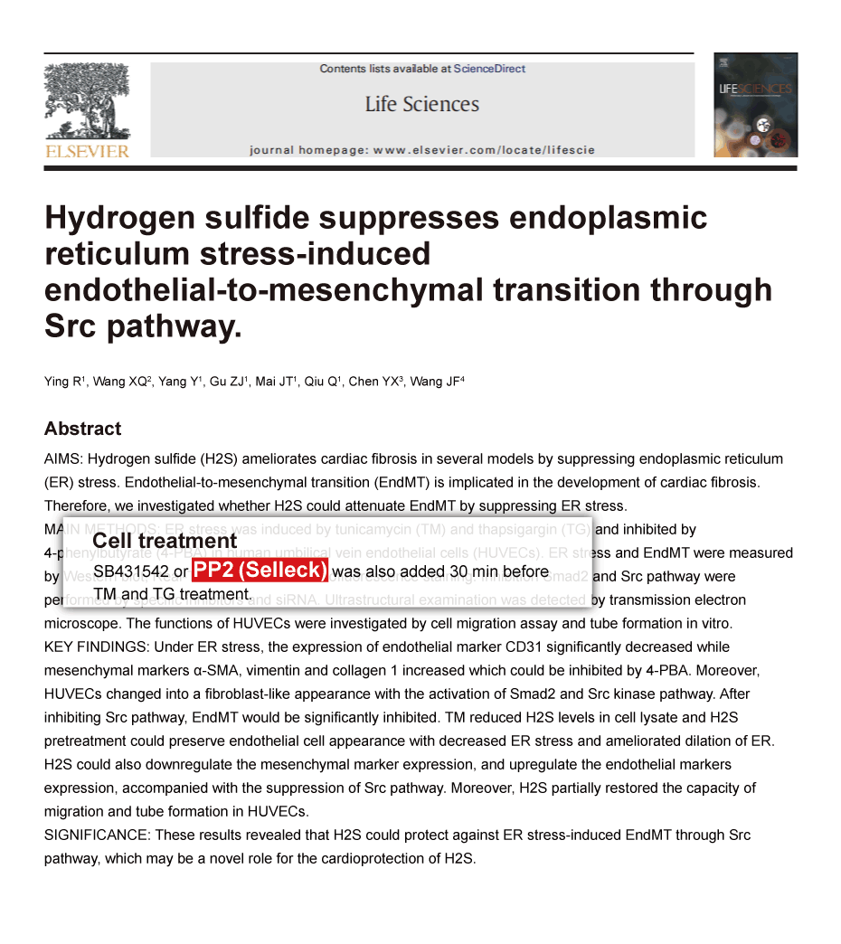 Trametinib was purchased from Selleck Chemicals
