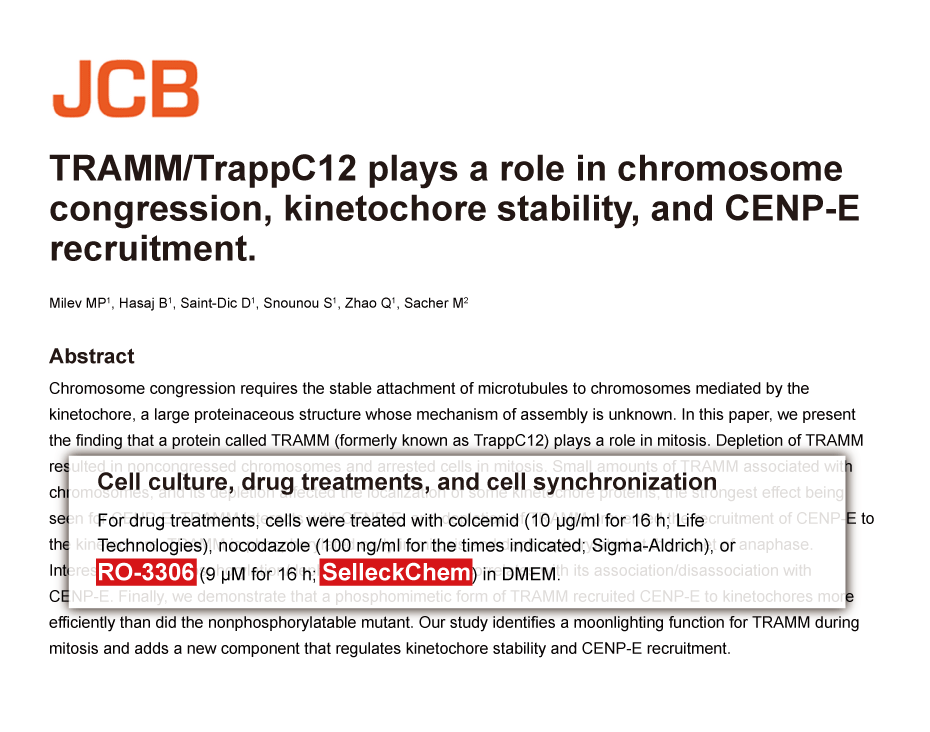 Trametinib was purchased from Selleck Chemicals