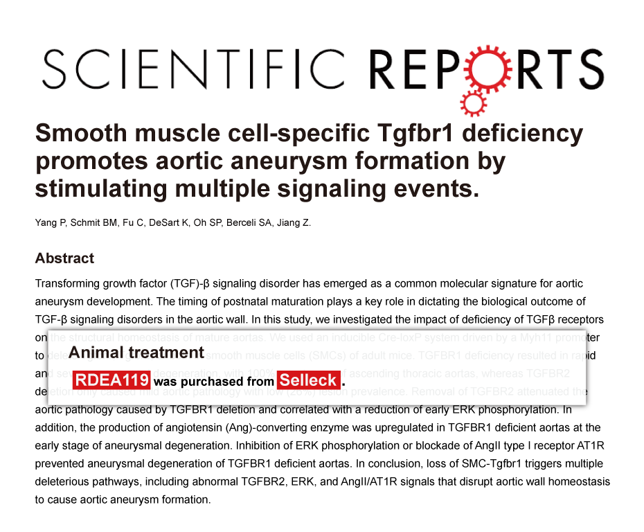 Trametinib was purchased from Selleck Chemicals