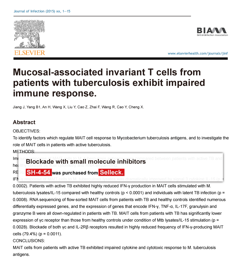Trametinib was purchased from Selleck Chemicals