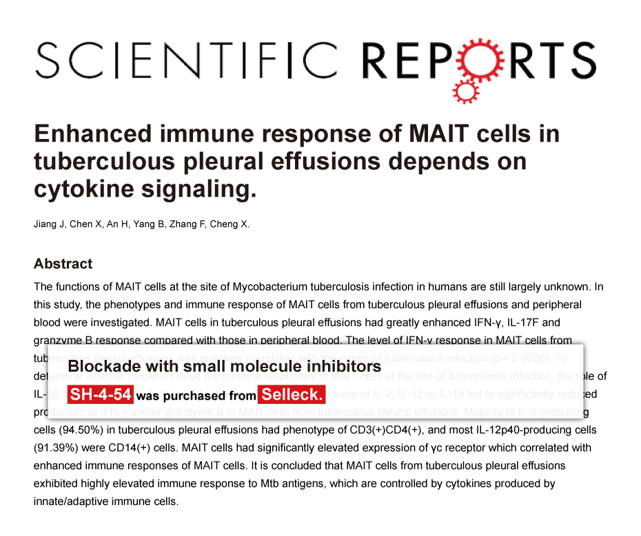 Trametinib was purchased from Selleck Chemicals