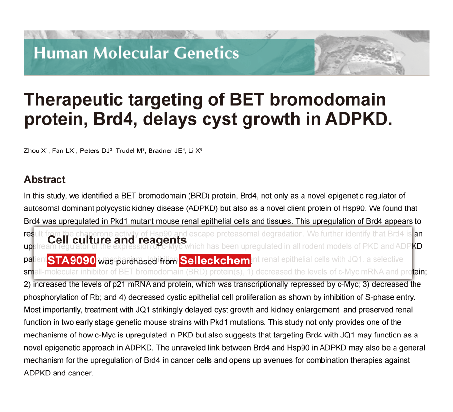 Trametinib was purchased from Selleck Chemicals