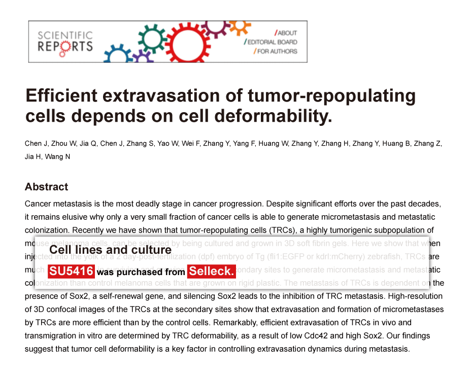 Trametinib was purchased from Selleck Chemicals