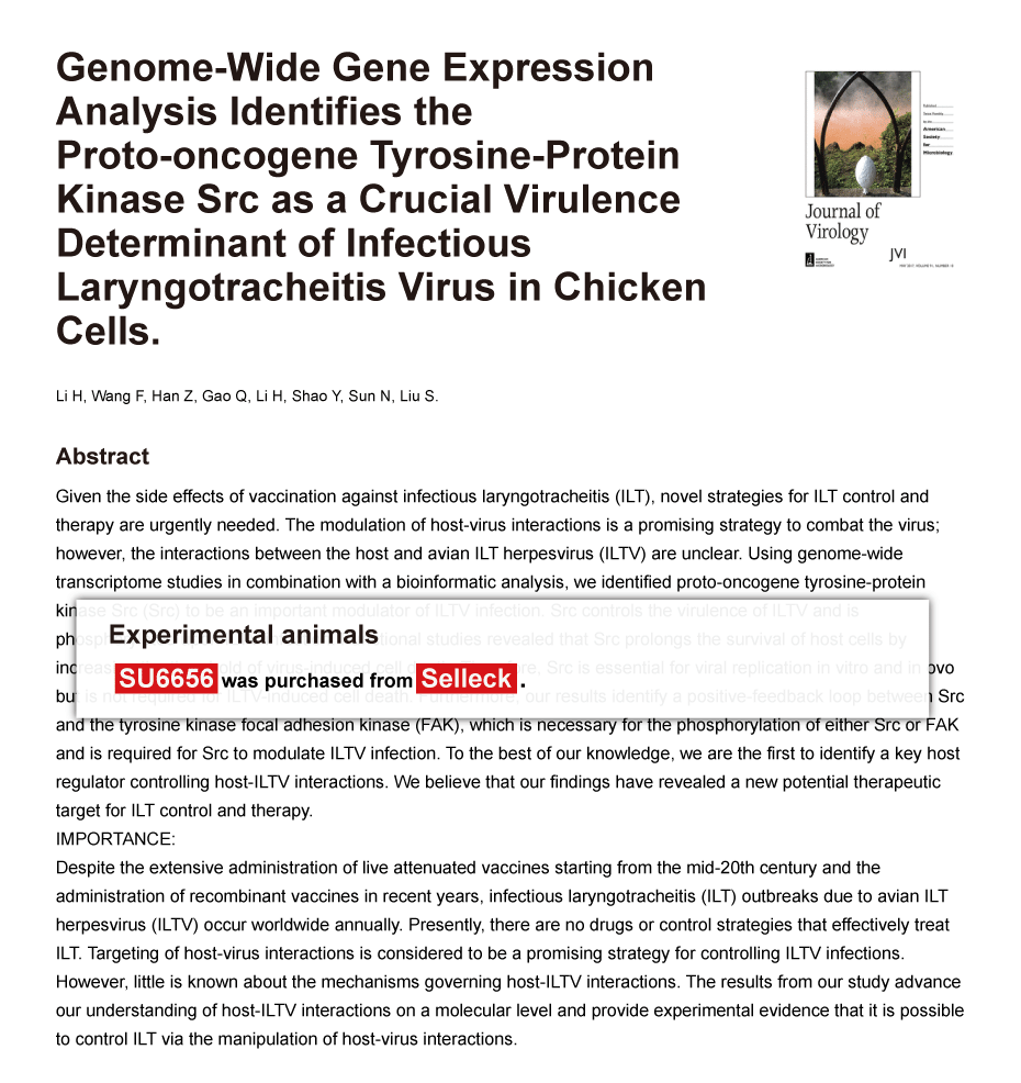 Trametinib was purchased from Selleck Chemicals