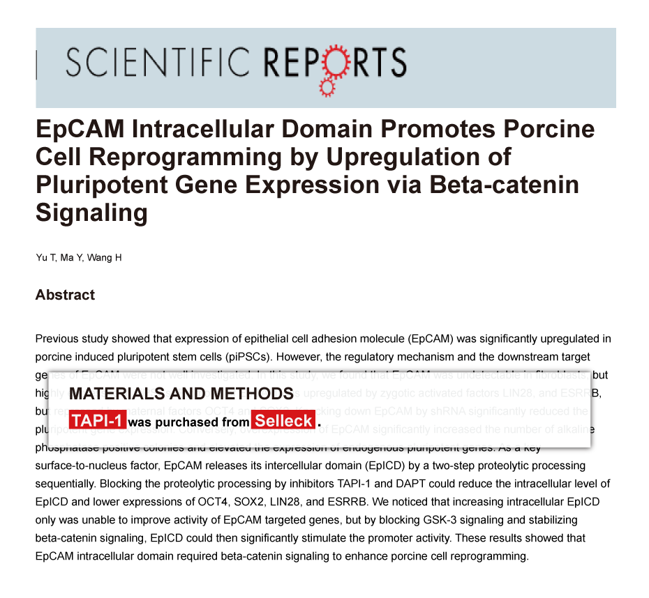 Trametinib was purchased from Selleck Chemicals
