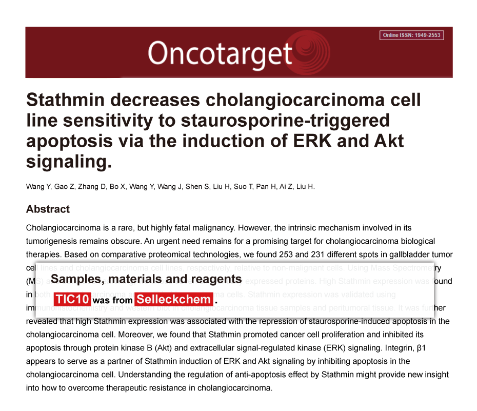 Trametinib was purchased from Selleck Chemicals