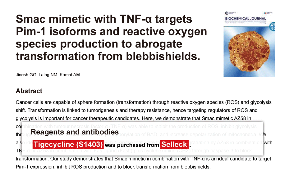 Trametinib was purchased from Selleck Chemicals