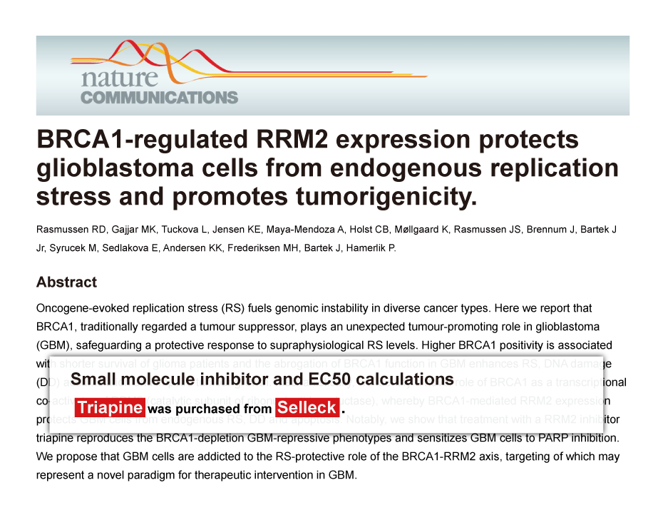 Trametinib was purchased from Selleck Chemicals