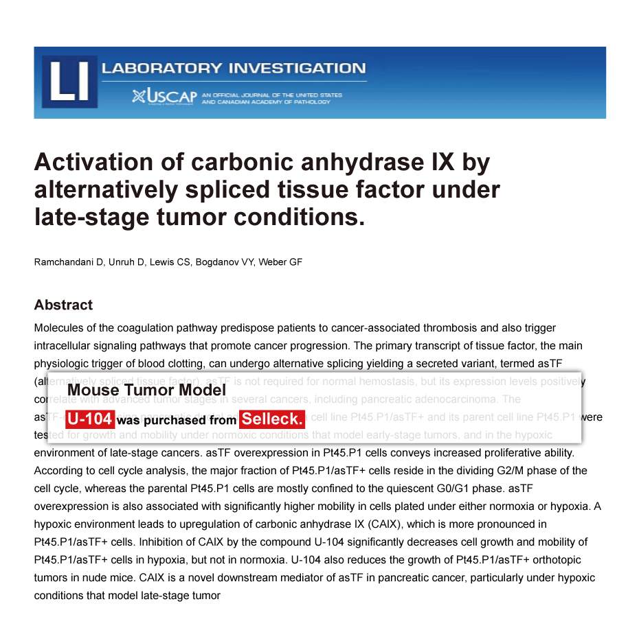 Trametinib was purchased from Selleck Chemicals