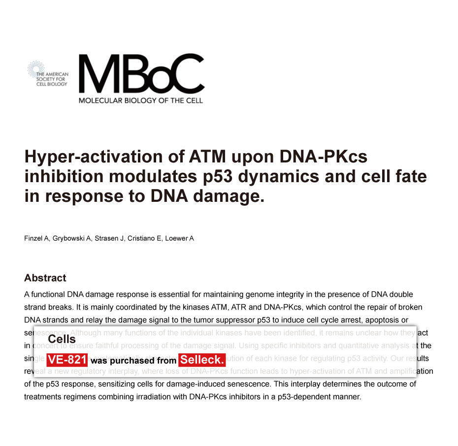 Trametinib was purchased from Selleck Chemicals
