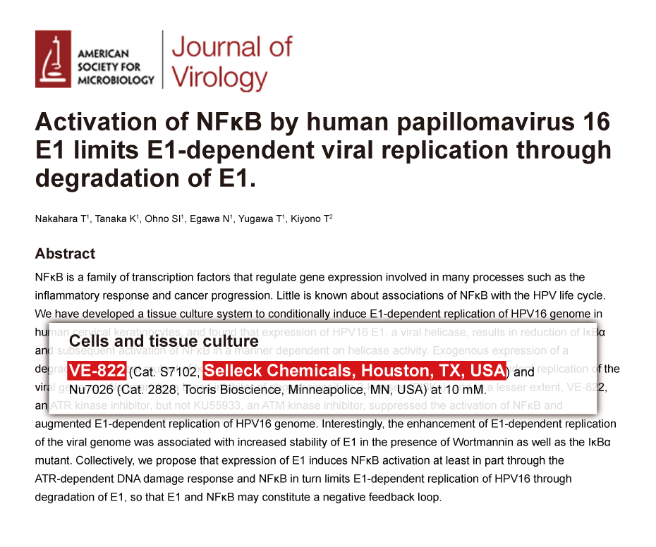 Trametinib was purchased from Selleck Chemicals