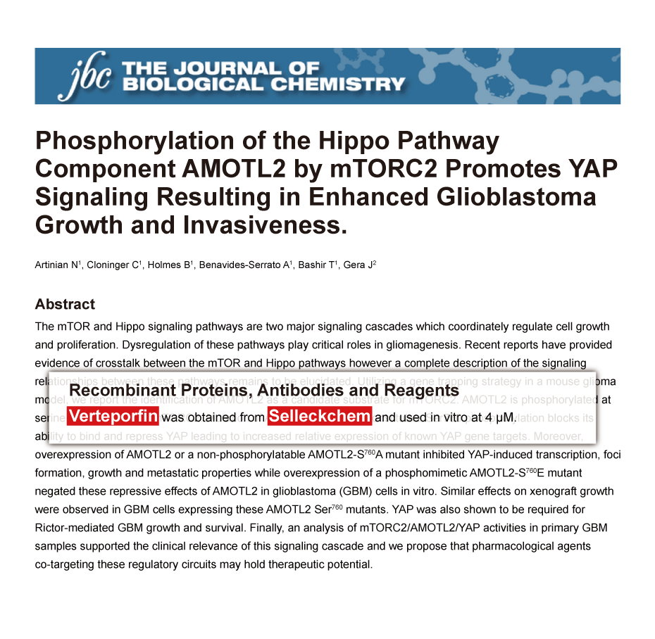 Trametinib was purchased from Selleck Chemicals