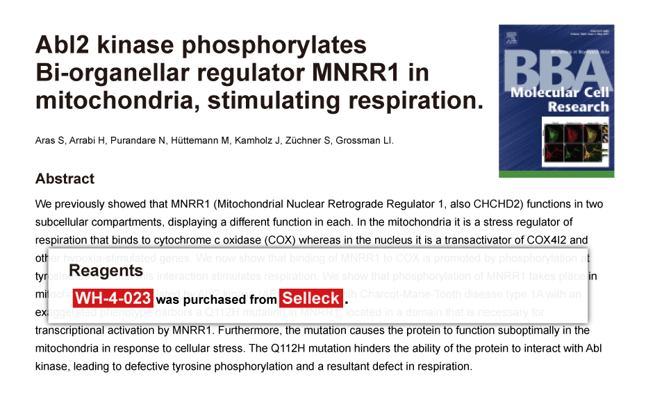 Trametinib was purchased from Selleck Chemicals