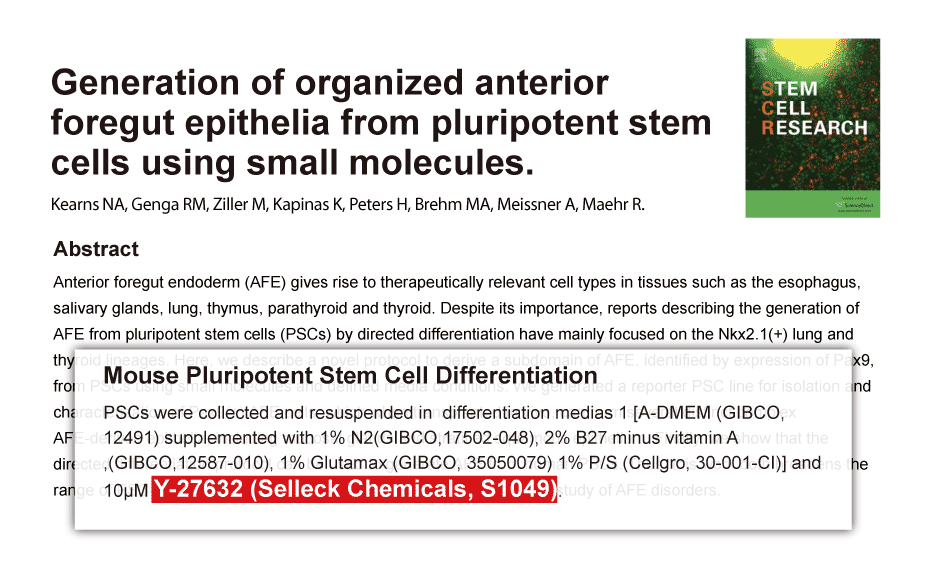 citations for stem cells These are the sources and citations used to research stem cell bibliography this bibliography was generated on cite this for me on monday, september 10, 2018. citations for stem cells These are the sources and citations used to research stem cell bibliography this bibliography was generated on cite this for me on monday, september 10, 2018.