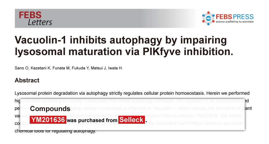 Trametinib was purchased from Selleck Chemicals