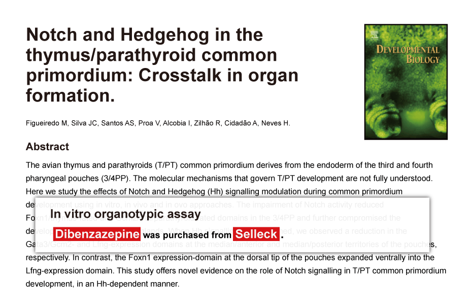 Trametinib was purchased from Selleck Chemicals