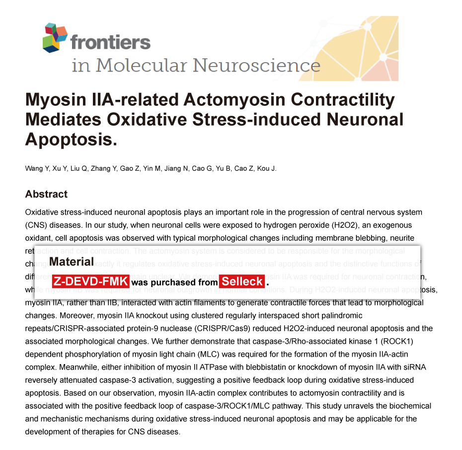 Trametinib was purchased from Selleck Chemicals