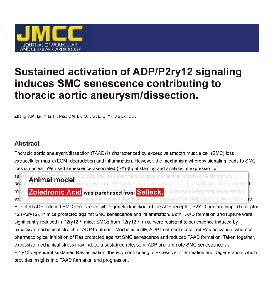 Trametinib was purchased from Selleck Chemicals