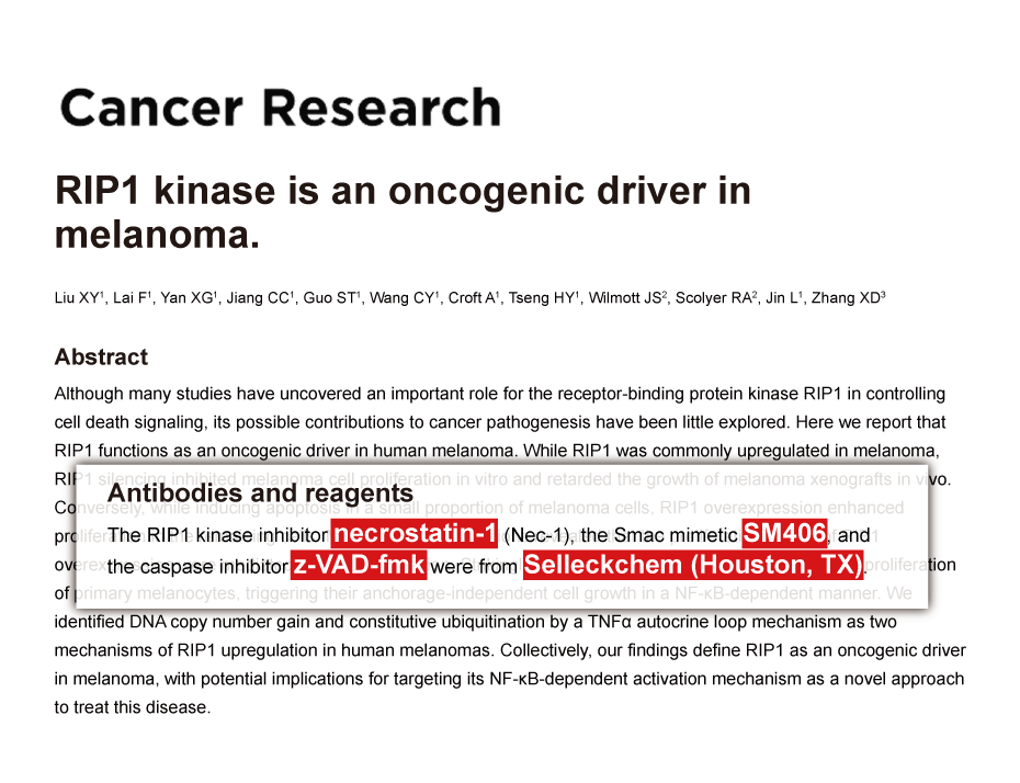 Trametinib was purchased from Selleck Chemicals