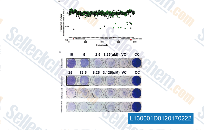 Tyrosine assay sweden clinical