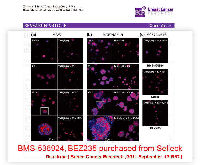 IF of BEZ235 (NVP-BEZ235)